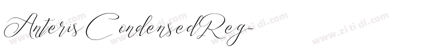 Anteris CondensedReg字体转换